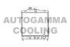 AUTOGAMMA 102111 Radiator, engine cooling